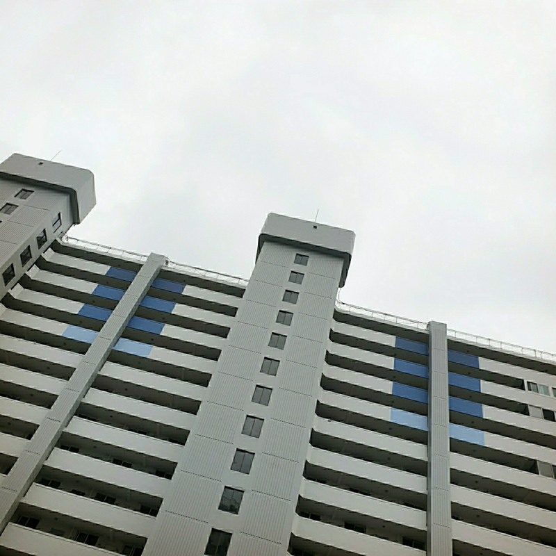 업체명