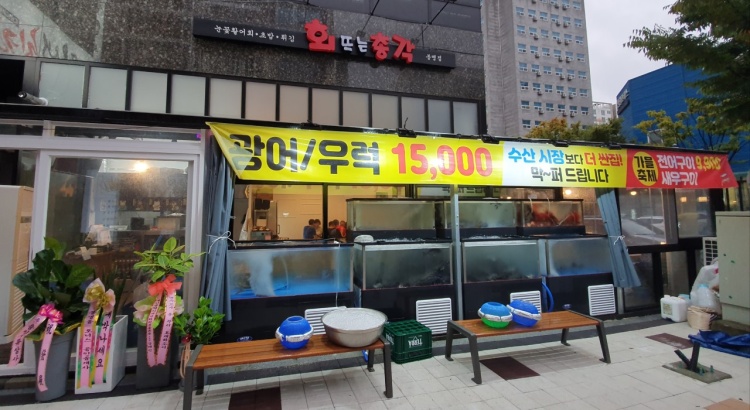회뜨는 총각